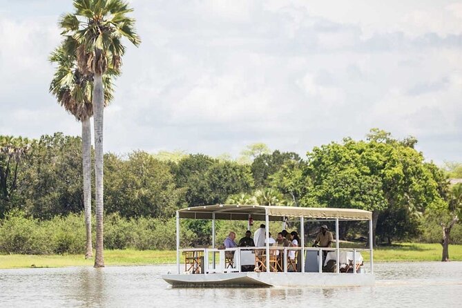 5-Days Selous Game Reserve and Mikumi National Park Tour - Practical Safari Tips: Pace, comfort, and spotting more animals