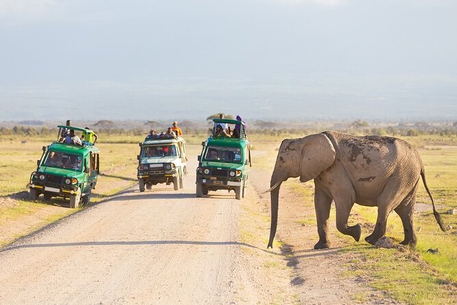 5 Days Serengeti Camping Safari - The Big Picture: A Classic Tanzania Circuit, Done in 5 Days
