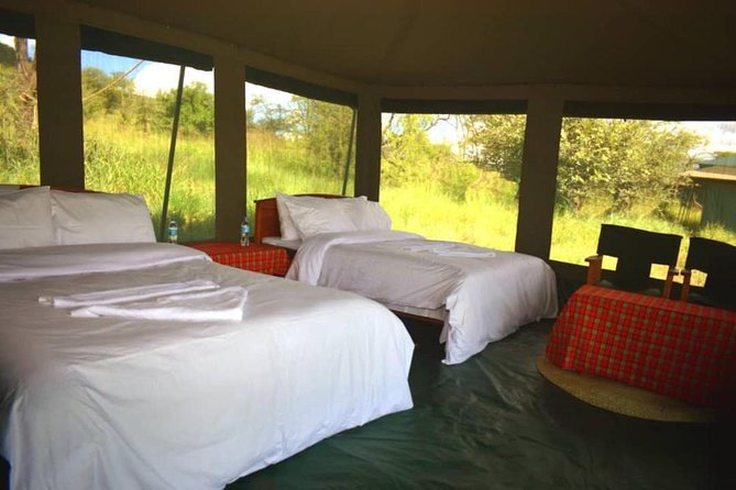 5 days serengeti, ngorongoro, tarangire & manyara lodge tour - Comfort, pacing, and the one practical drawback