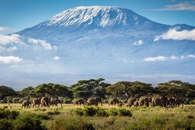 5 days Serengeti Wildebeest Migration Safari - Day 4 Back Through Serengeti Toward the Ngorongoro Rim