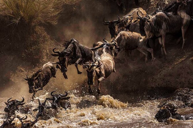 5 Days Special Safari to see migration - Day 3: Two Serengeti Game Drives, Including Sunset Timing