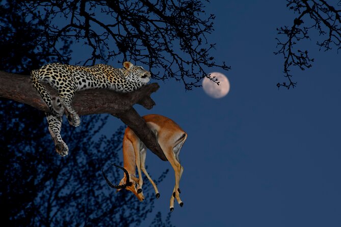 5 Days Tanzania Budget Camping Safari from Arusha - Arriving in Arusha: the 6:00 am start and how that shapes the trip