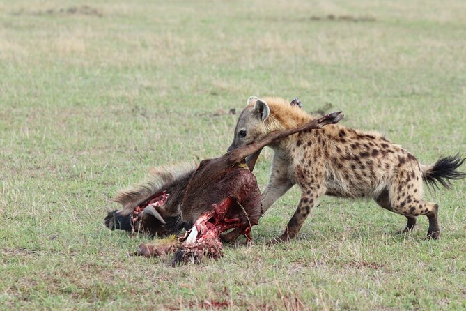 5 Days Tanzania Budget Camping Safari from Arusha - Price and value: what US$1,100 buys you and what to budget on top