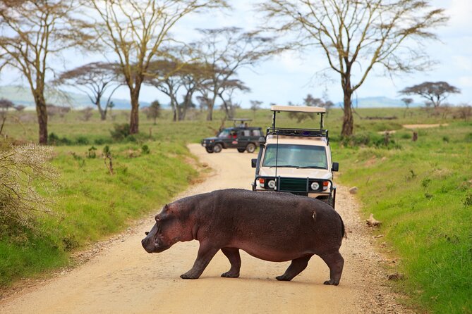 5 Days Tanzania Budget Camping Safari from Arusha - Lake Manyara National Park: tree-climbing lions, baboons, and bird-heavy acacia