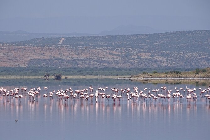 5 Days Tanzania Family Safari - Day 4: Ngorongoro Conservation Area, Maasai Village Photos, and Overnight Planning