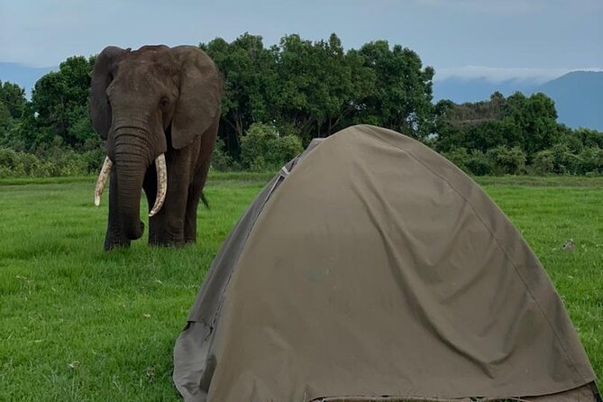 5 Days Tanzania Joining Safari with Pick Up Included Shared Tour - Value-minded Tanzania safari, done the practical way