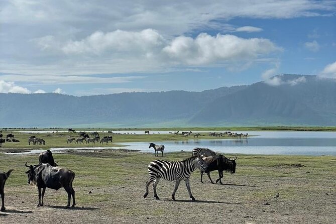 5 Days Tanzania Joining Safari with Pick Up Included Shared Tour - Ngorongoro Crater on Day 5: early descent, hippo pool lunch, and a steep climb
