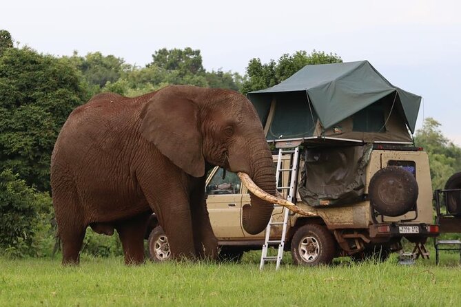 5 Days Tanzania Joining Safari with Pick Up Included Shared Tour - Day 1 in Tarangire National Park: baobabs, elephant herds, and picnic lunch