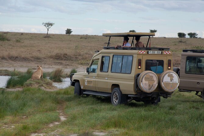 5 days Tanzania midrange lodge Private safari - Day 1 in Tarangire National Park: elephants, baobabs, and a full wildlife day