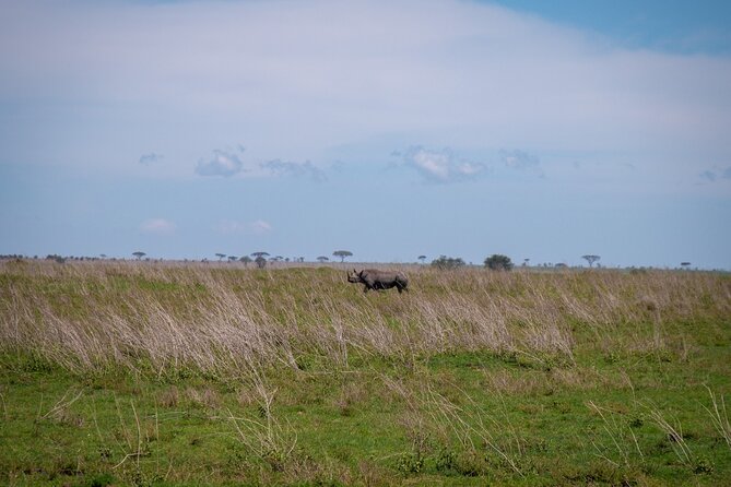 5 Days Tanzania's Wildlife Joint Safari. - A 5-day northern-circuit safari that keeps you moving