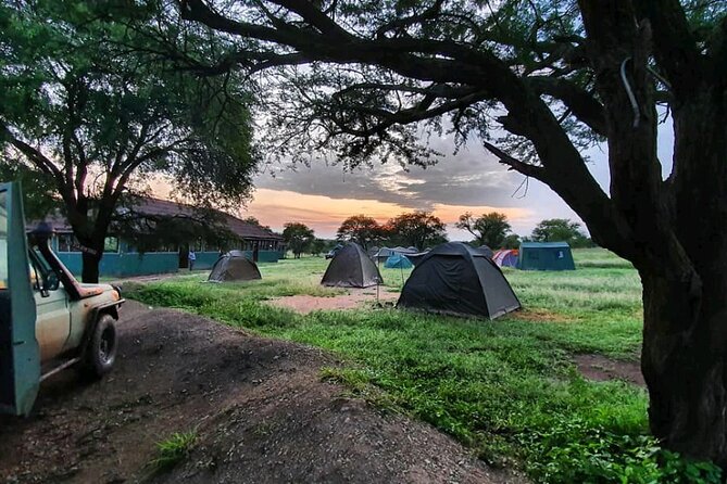 5 Days Tanzania's Wildlife Joint Safari. - Day 2 Serengeti with an Ngorongoro viewpoint stop