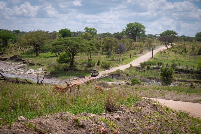 5 Days Tanzania's Wildlife Joint Safari. - Day 4 Ngorongoro Crater: high walls, concentrated action