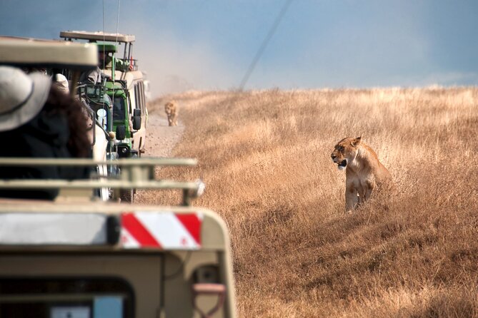 5 Days Tanzania's Wildlife Joint Safari. - Day 1 Tarangire National Park: elephants and a full game-drive day