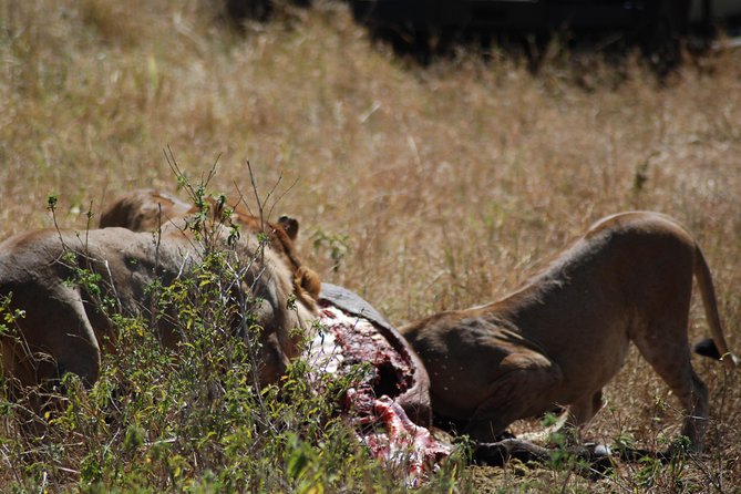 5 Days Tanzania Safari from Mwanza to Arusha - Price and what $2,950 covers for five days on the ground