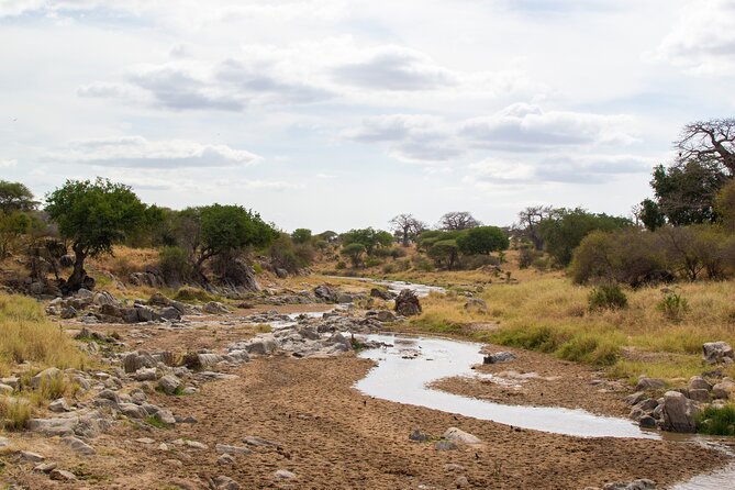 5 Days Tanzania Safari Great Wildebeest Migration - What you get for the price, and what is extra