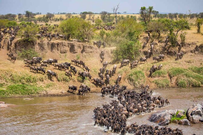 5 Days Tanzania Safari Great Wildebeest Migration - How to make the migration chase work on your camera and your body