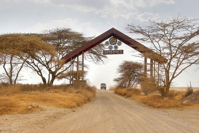 5 Days Tanzania Safari Great Wildebeest Migration - Serengeti days two and three: chasing the herd with early blocks