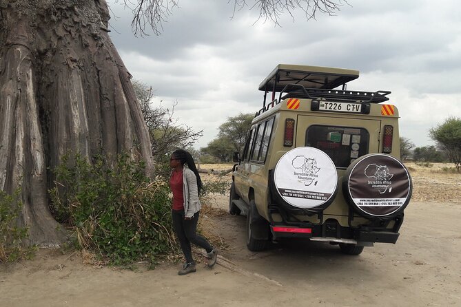 5 Days Tanzania Safari - Migration and Big 5 Safaris - Serengeti Seronera: why this area works for sightings