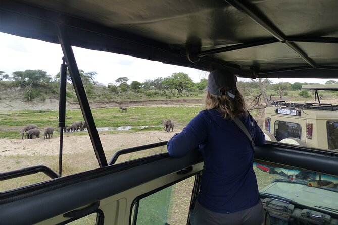 5 Days Tanzania Wildlife Safari Private Tour - Private Safari, Arusha Pickup, and the Real Value of $3,800