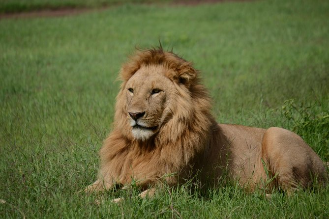 5 Days Tarangire ,Serengeti.Ngorongoro and Lake manyara - Key highlights you will care about