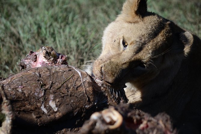 5 Days Tarangire ,Serengeti.Ngorongoro and Lake manyara - Price and what $1,270 buys you on this route