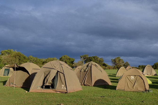 5 Days Tarangire ,Serengeti.Ngorongoro and Lake manyara - Day-by-day: Tarangire’s elephants and baobabs first