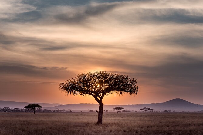 5-days Tarangire-Serengeti-Ngorongoro Safari - Mto-wa-Mbu and Arusha finish: last pictures, curio shopping, then airport drop