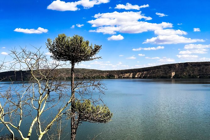 5-Hour Private Guided Tour in Lake Chala with Lunch - Lake Chala basics: volcanic depth, birdlife, and cross-border water