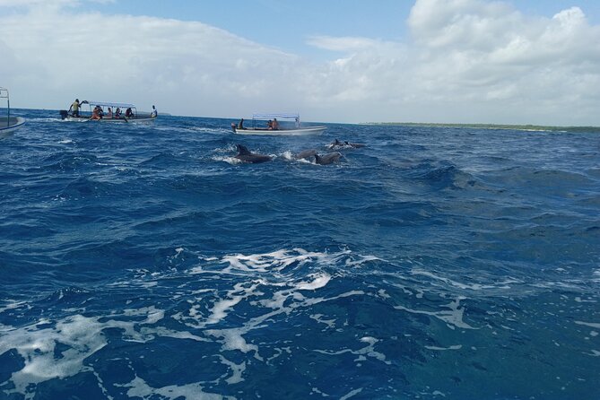 5-Hour Snorkeling, Swimming with Dolphins and Sea Turtles Aquarium - Mnemba Atoll Marine Reserve, the Snorkeling Stop That Drives the Day