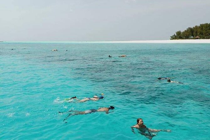 5-Hour Snorkeling, Swimming with Dolphins and Sea Turtles Aquarium - Dolphin Spotting, and How to Keep Expectations Real