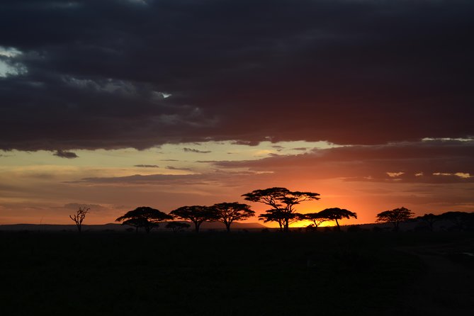 5days Tanzania Safari lodge and camping Serengeti, Tarangire & Ngorongoro Crater - Key highlights that matter (not just nice words)