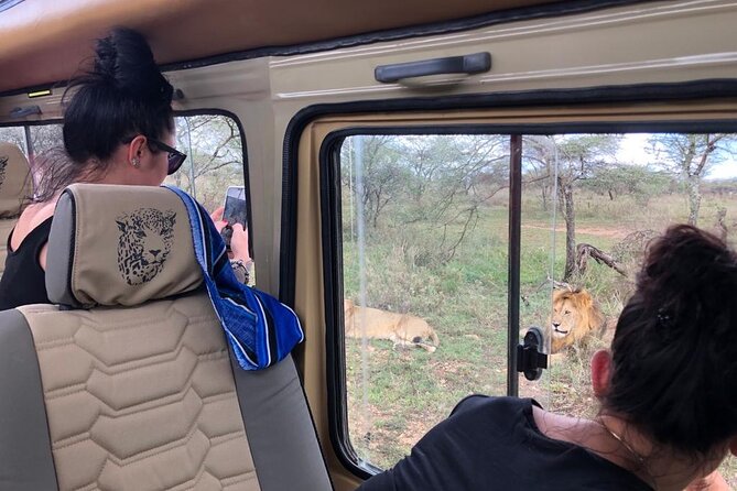 5days Tanzania Safari lodge and camping Serengeti, Tarangire & Ngorongoro Crater - Ngorongoro Crater: rim camping, sunset views, then big-five odds on the crater floor