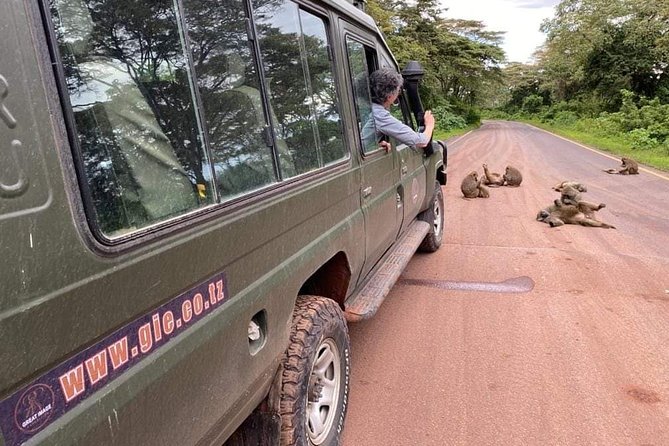 5days Tarangire,Serengeti,ngorongoro Crater and Lake Manyara National park - Day 1 Arusha to Tarangire, Where the Elephants Find You Fast