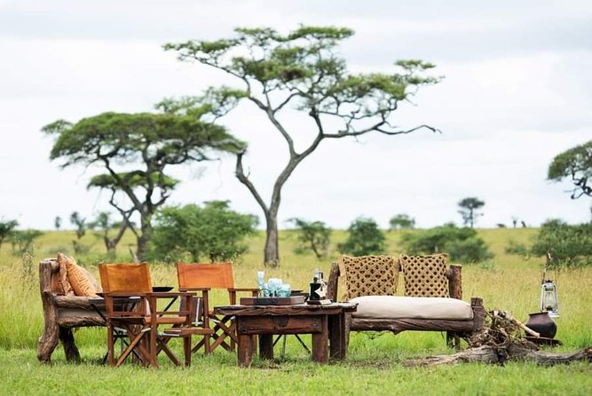 5days Tarangire,Serengeti,ngorongoro Crater and Lake Manyara National park - Day 4 Ngorongoro Crater Descent, 650 M Down for a Half-Day Game Tour