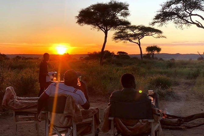 5days Tarangire,Serengeti,ngorongoro Crater and Lake Manyara National park - Price and Value: What $2,499 per Person Covers in Real Terms