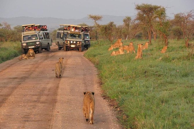 5days Tarangire,Serengeti,ngorongoro Crater and Lake Manyara National park - Guides, Private Style, and What Past Trips Suggest