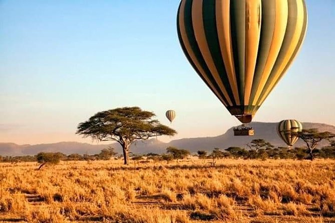 5days Tarangire,Serengeti,ngorongoro Crater and Lake Manyara National park - Day 2 Tarangire to Serengeti, the Transfer Day That Still Feels Like Safari