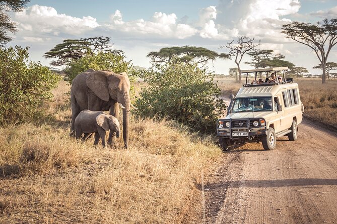 6- Day Adventure Lodge safari to see Migration - Guides and driving matter more than you think