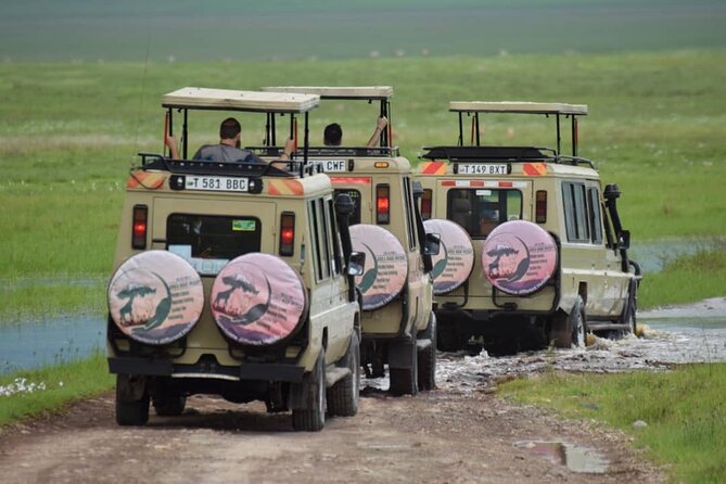 6-Day Big Five Magic Safari Tour - Why Moshi and this Big Five route feel right