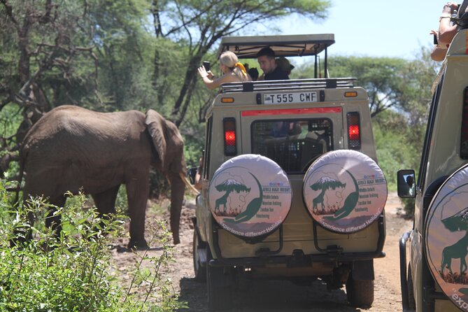 6-Day Big Five Magic Safari Tour - Day 2 to Serengeti: a half-day on the way, then UNESCO plains