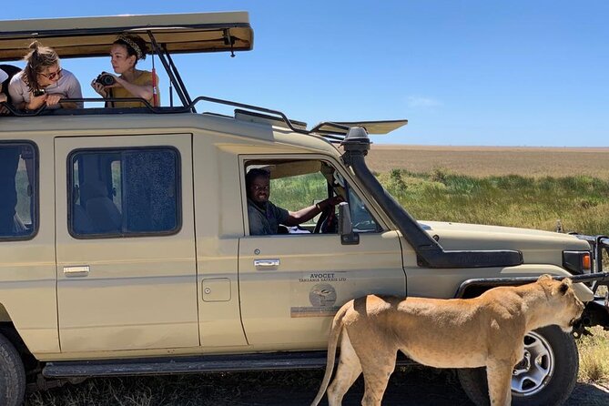 6 Day Group Camping Safari Tarangire Serengeti Ngorongoro Manyara - Day 4: From Serengeti to the Ngorongoro rim with crater-day anticipation