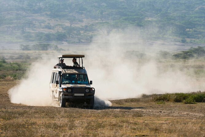6-Day Honeymoon Safari Tour Package in Tanzania - Serengeti time: how the plan uses Seronera and daylight well