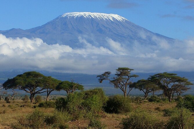 6-Day Kilimanjaro Climbing Via Machame Route - Key highlights on this 6-day Machame trek