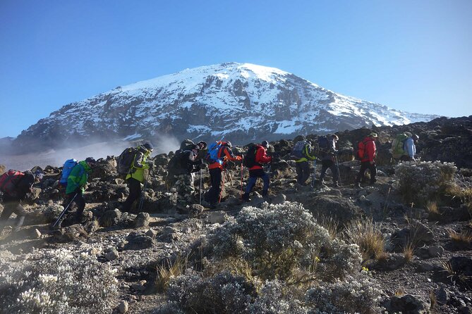6 Day Kilimanjaro Climbing Via Marangu Route - The altitude game plan, from rainforest to the summit zone