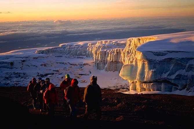 6-Day Kilimanjaro Machame Route – A Stunning Trek to Uhuru Peak - From Moshi to the gate: Day 1 in the rainforest to Machame Camp