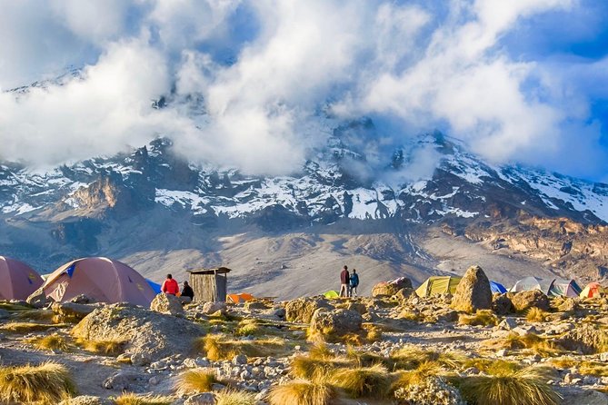 6-Day Kilimanjaro Umbwe Route–Steep,Adventurous, Challenging Path - Key highlights worth knowing before you go