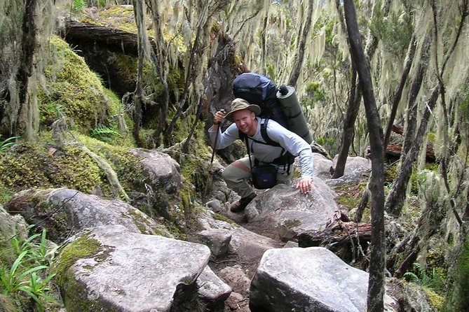 6-Day Kilimanjaro Umbwe Route–Steep,Adventurous, Challenging Path - Why the Kilimanjaro Umbwe Route is a high-adrenaline choice