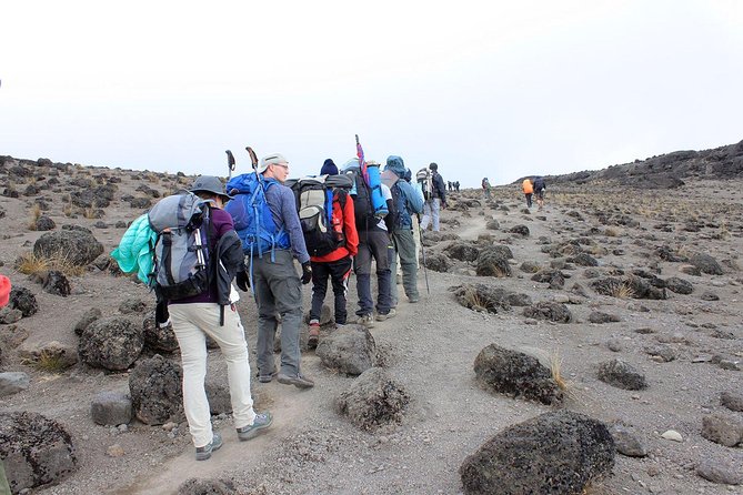 6-Day Kilimanjaro Umbwe Route–Steep,Adventurous, Challenging Path - Moshi pickup and Umbwe Gate reality checks