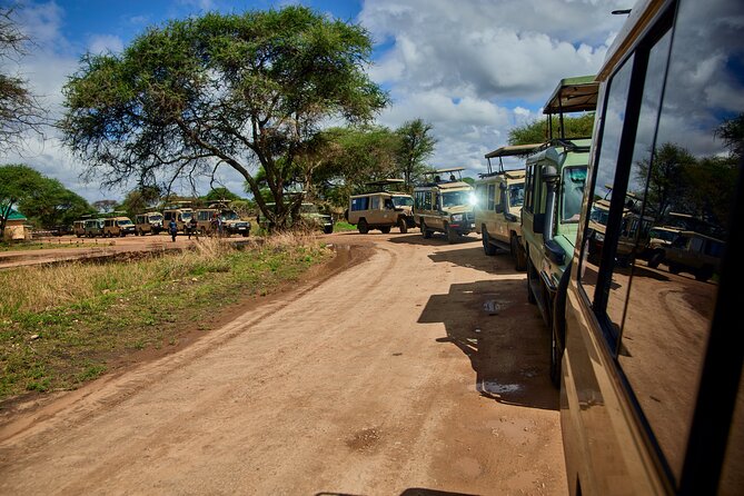 6-Day Luxury Tanzania Premium Safari - Price, Tips, and the Value Math That Matters
