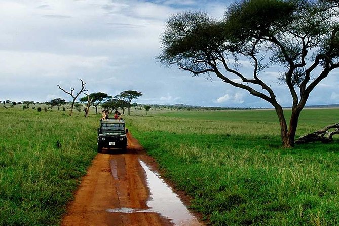 6 Day: Magnificent Wildlife Adventure - A Flexible Second Serengeti Day, Plus the Balloon Option